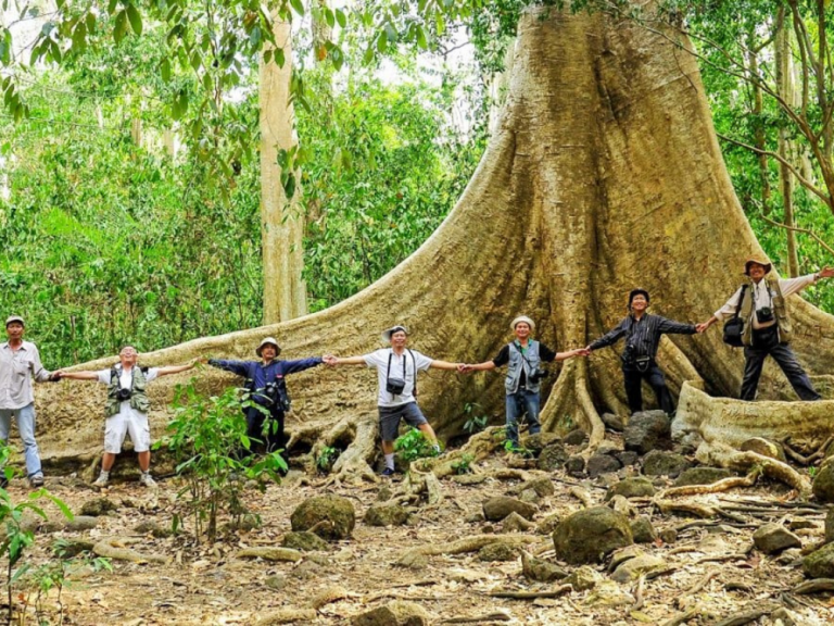 Nam Cat Tien National Park in Dong Nai province (Southern Vietnam)