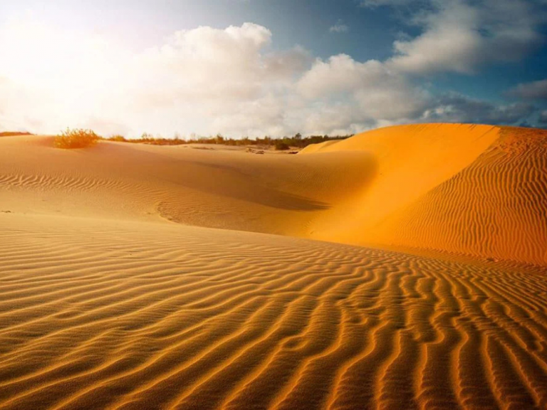 Red Sand Dunes in Binh Thuan Province (Southern Vietnam)