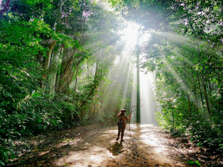 Nam Cat Tien National Park in Dong Nai province (Southern Vietnam)