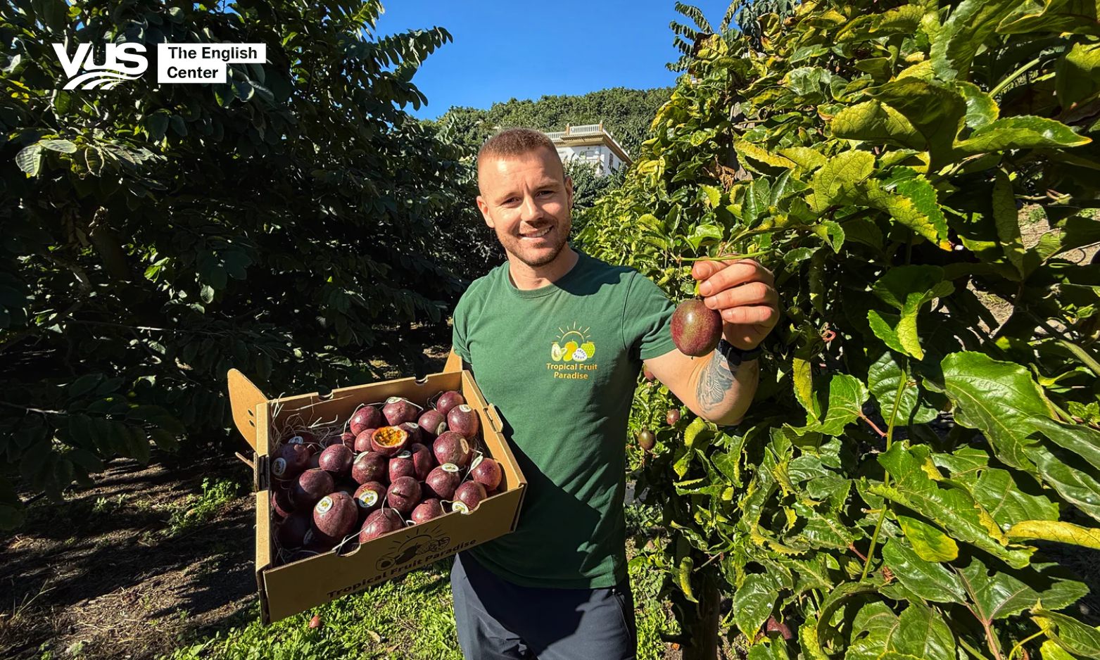 Tropical fruit orchards