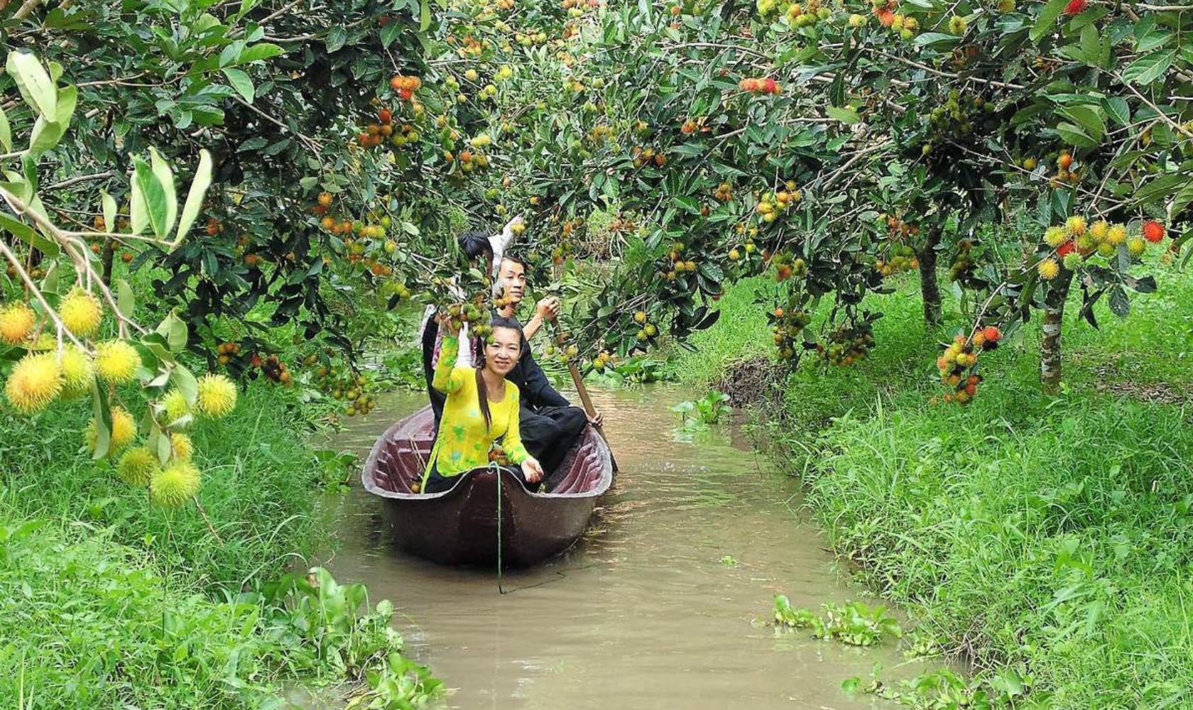 Lai Thieu fruit garden in Binh Duong