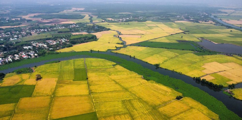 A rural area in Tay Ninh