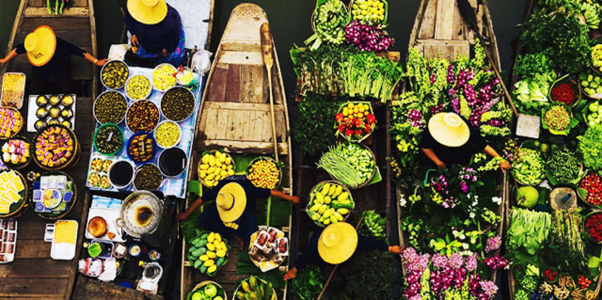 Ca Mau_Feature Image